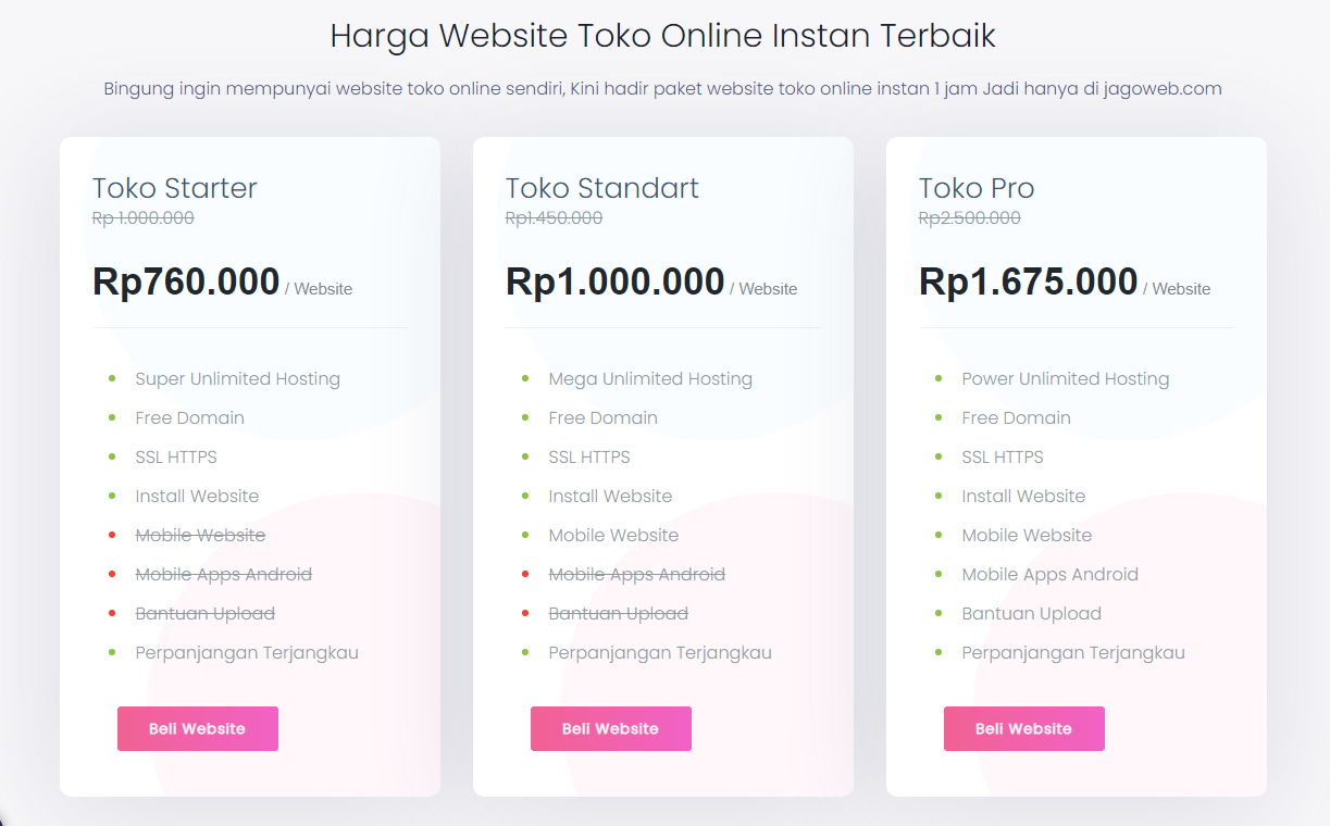 website toko online