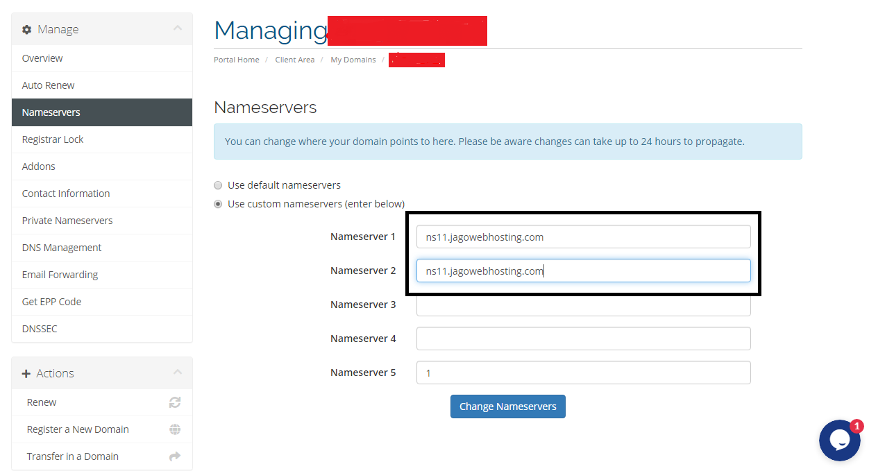 menyesuaikan name server di panel domain
