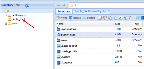 Файл public html