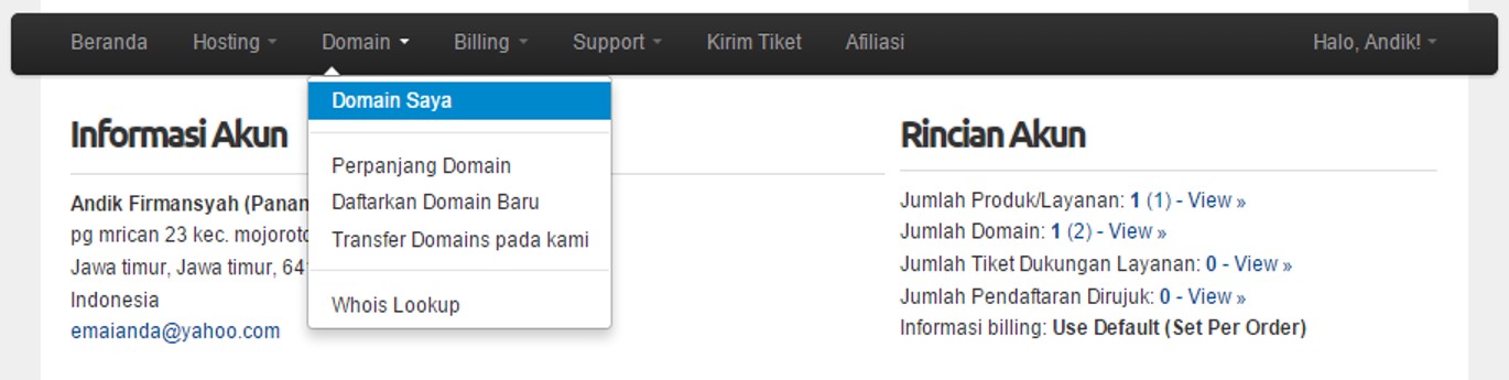 client area menu domain