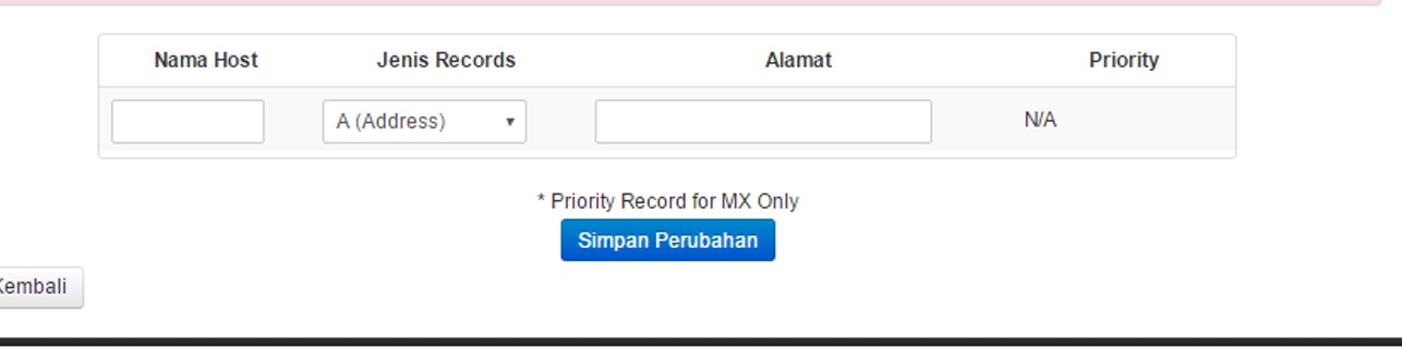 penampakan setting dns
