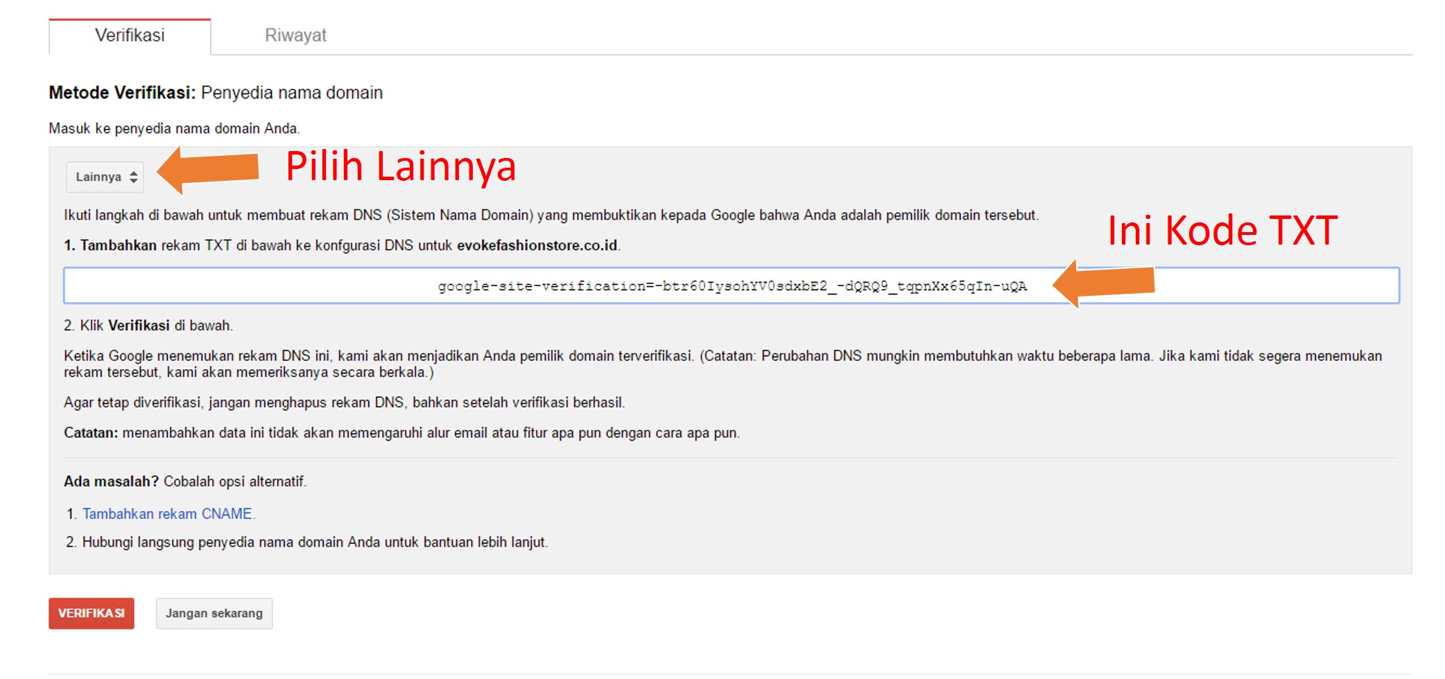 setting txt pilih lainnya