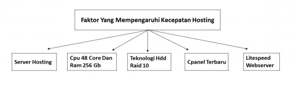 Hosting Dengan Kecepaatan Extra Cepat