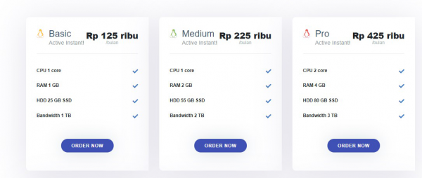 VPS Hosting: Hosting Murah Dan Terbaik Untuk Website